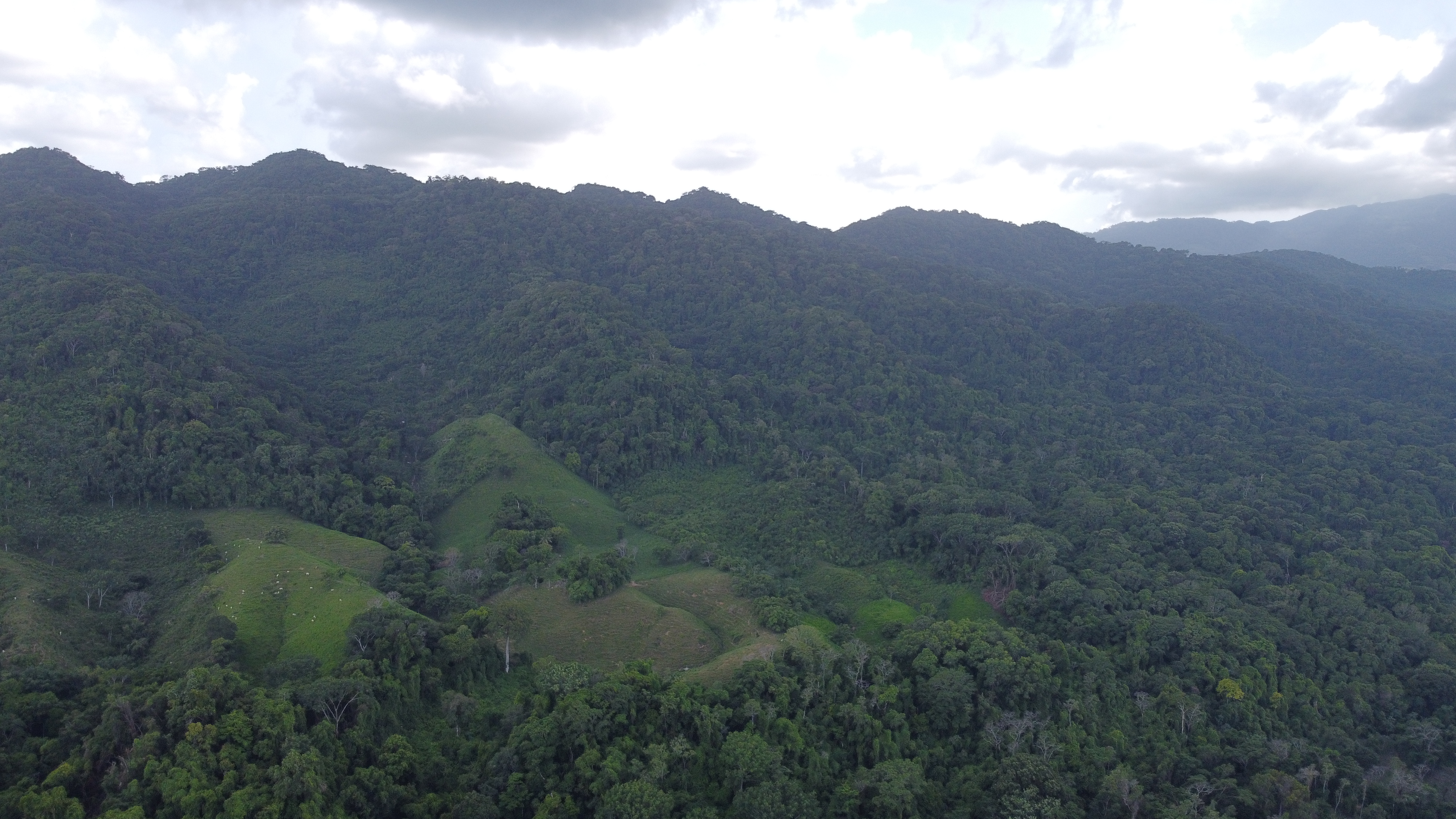Nature picture 10